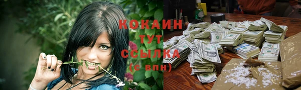 соль ск Алзамай